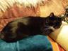 IMG_20220427_201306.jpg