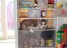 husky-im-kühlschrank.jpg