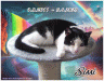 f54t1278p11759n2_eGbEwyHT.gif