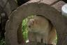 DSC06755.jpg