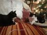 IMG_20201216_195940.jpg