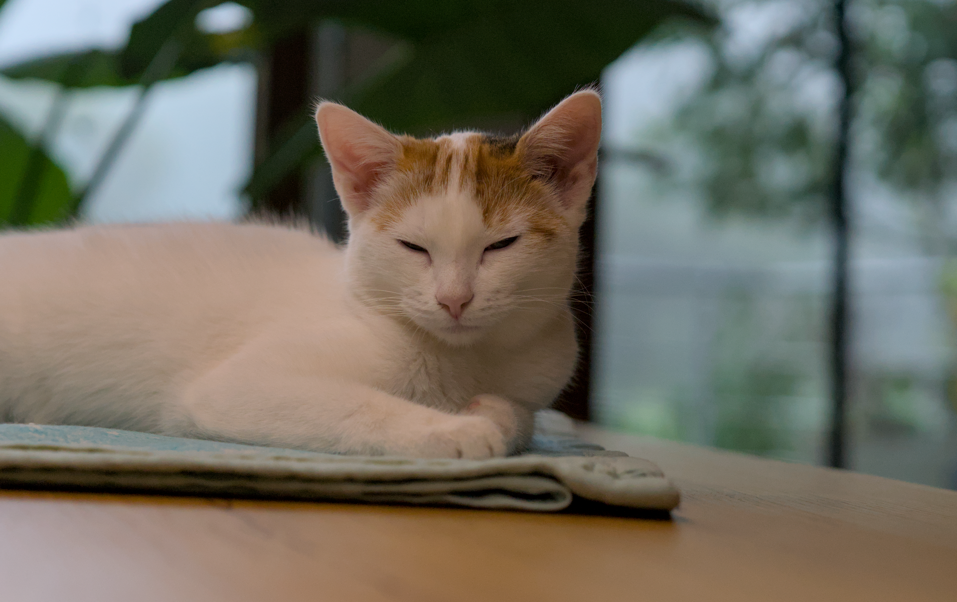 DSC05265.webp