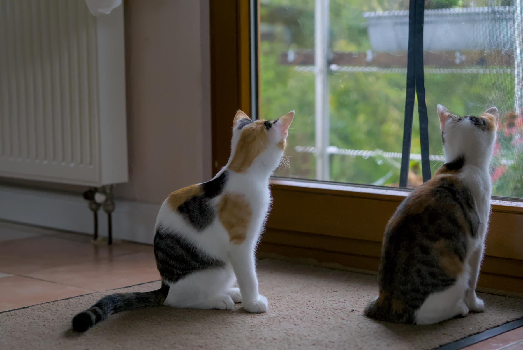 DSC05291.webp