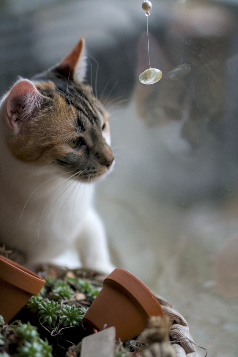 DSC07740_01.webp