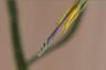 2025-09-29_13-14.jpeg