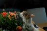 DSC02607.jpg
