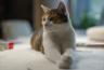 DSC02782.jpg