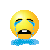 :00008541: