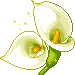 :blume_824: