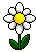 :blume_u_025: