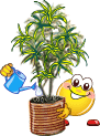 :gaertner_55: