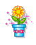 :gif_2619: